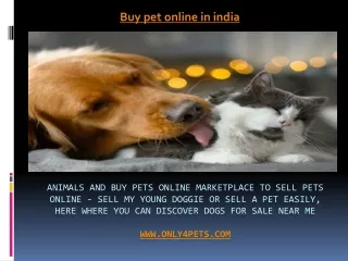 Sale pets online