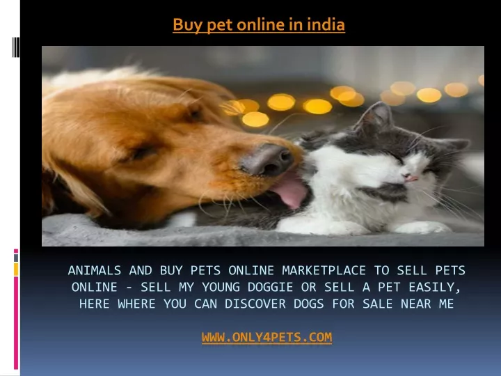 buy pet online in india