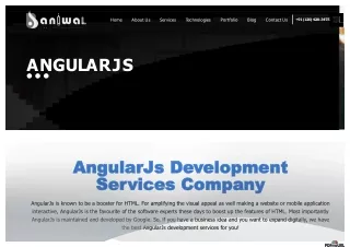 AngularJS Development Services Provider Company | Baniwal Infotech