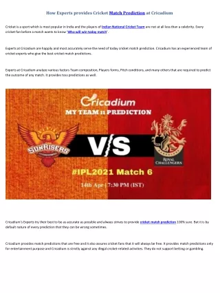 how experts provides cricket match prediction