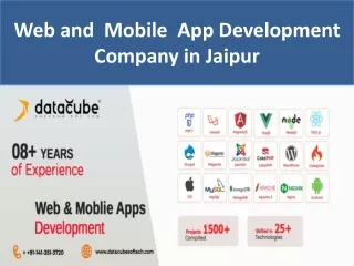 Datacube Softech | Web and Mobile App Development Company in Jaipur