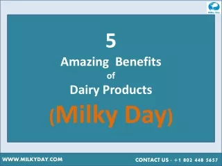 5  Amazing  Benefits   of  Dairy Products - Milky Day
