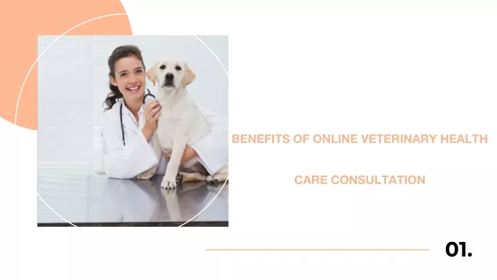 benefits of online veterinary health care