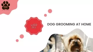 Dog Grooming At Home