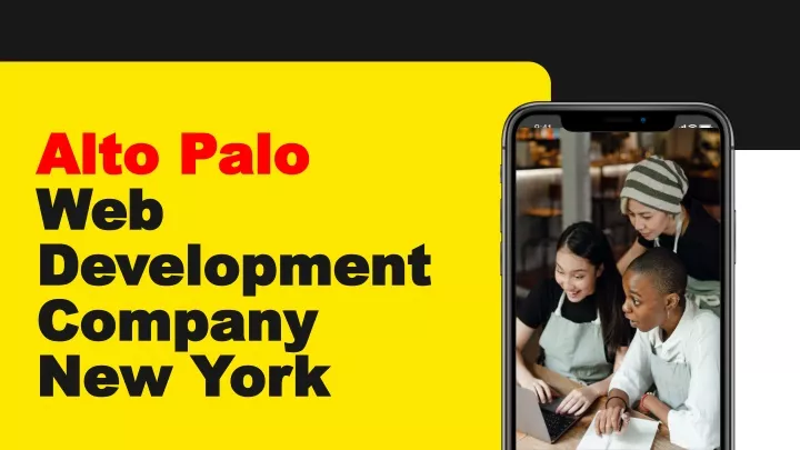 alto palo web development company new york