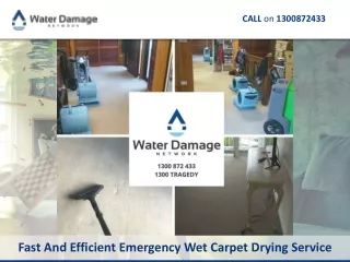 Fast And Efficient Emergency Wet Carpet Drying Service