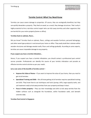 Termite Control: What You Need Know