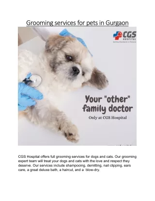 grooming services for pets in gurgaon grooming