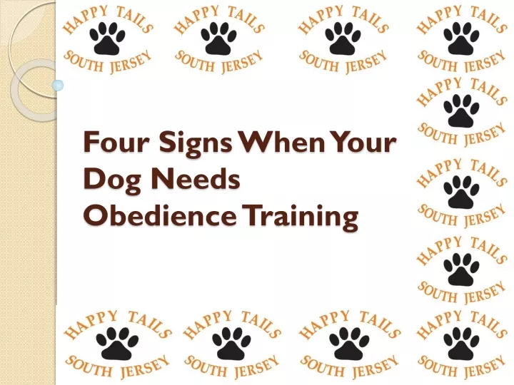 four signs when your dog needs obedience training