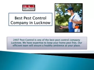 Termite Control Services in Lucknow
