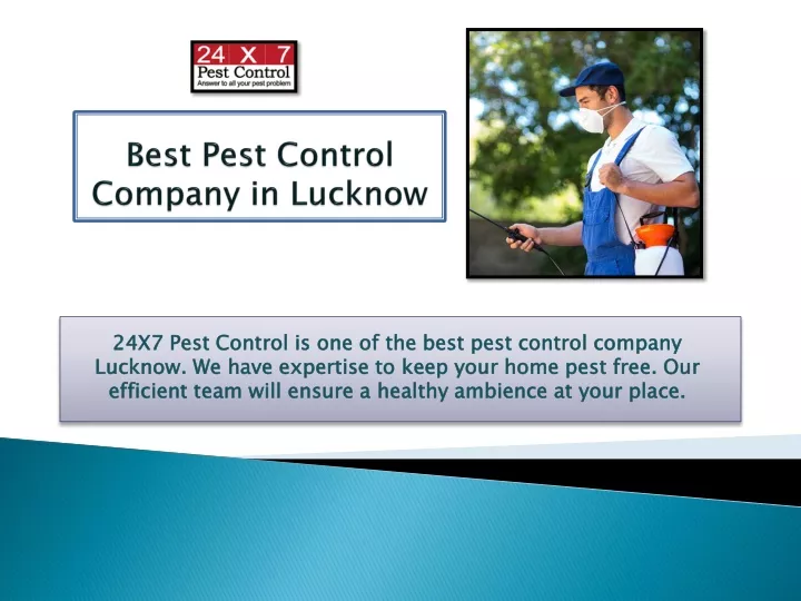 best pest control company in lucknow