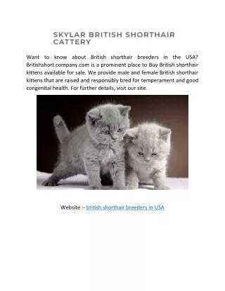 want to know about british shorthair breeders