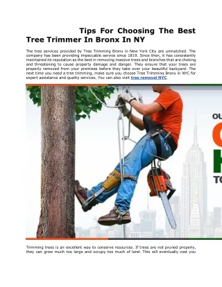 tips for choosing the best tree trimmer in bronx