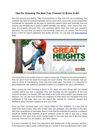 NYC Tree Trimming & Removal Corp