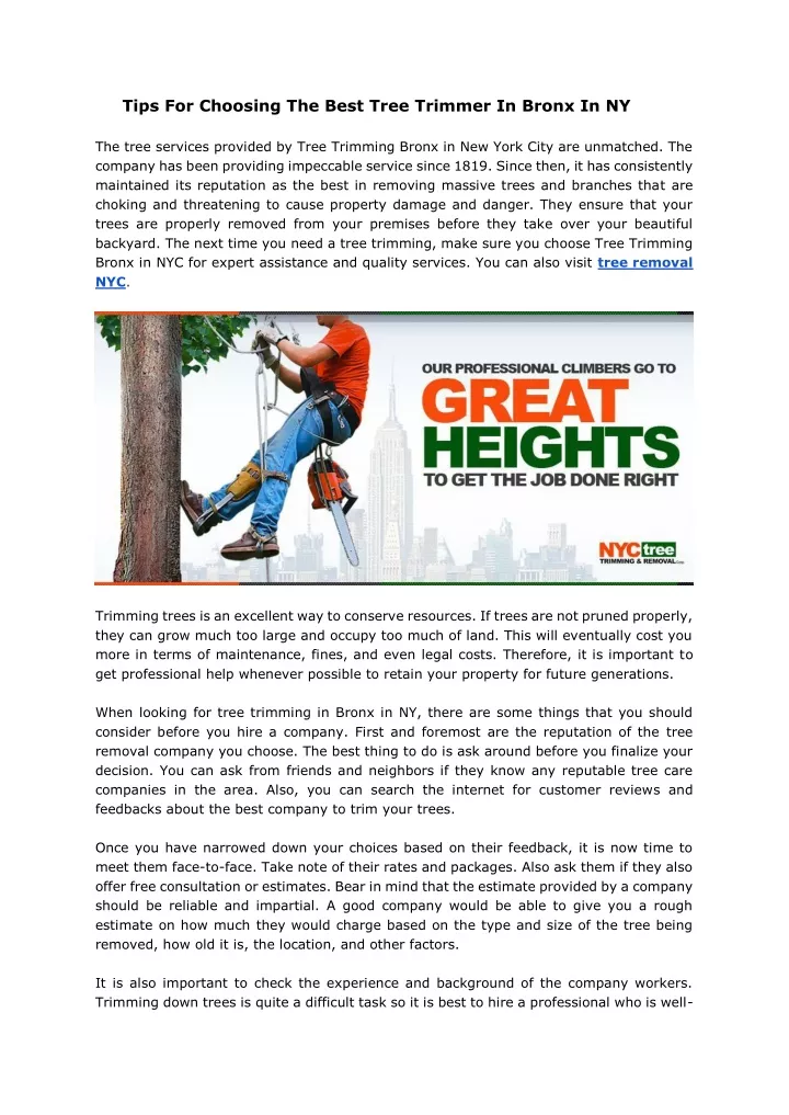 tips for choosing the best tree trimmer in bronx