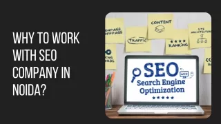 Why to work with SEO Company in Noida?