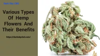 Various Types Of  Hemp Flowers  And Their  Benefits