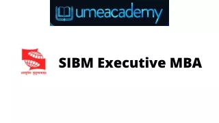 sibm executive mba