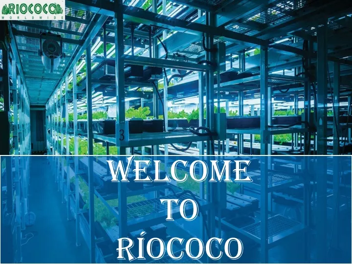 welcome to r ococo