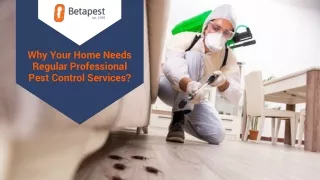 Why Your Home Needs Regular Professional Pest Control Services?