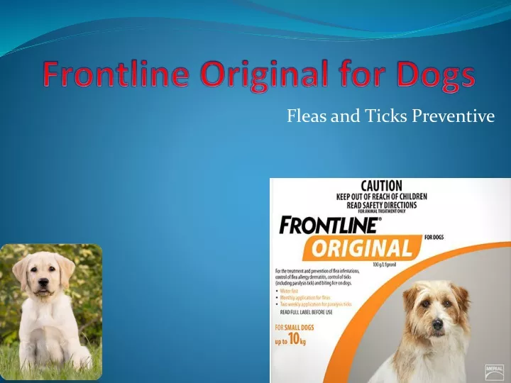 frontline original for dogs