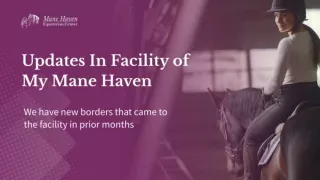 My Mane Haven | Best Horse Boarding Facilities