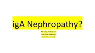 iga nephropathy