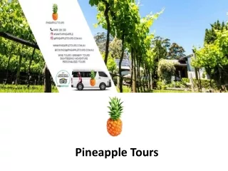 Gold Coast Food and Wine Tasting Tours by Pineapple Tours