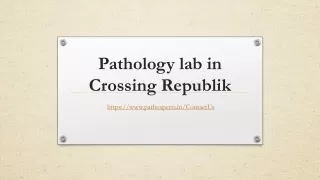 pathology lab in crossing republik
