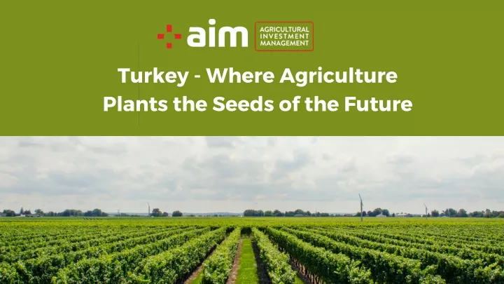 turkey where agriculture plants the seeds