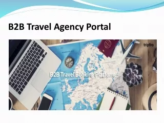 b2b travel agency portal