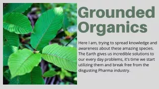 grounded organics