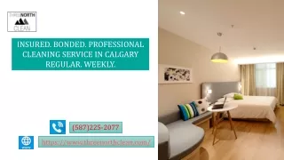 insured bonded professional cleaning service