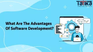 what are the advantages of software development