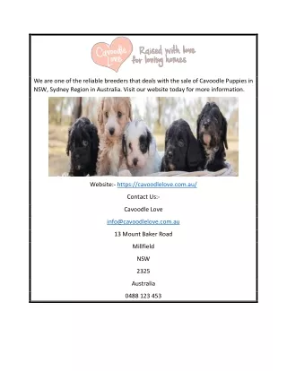 we are one of the reliable breeders that deals