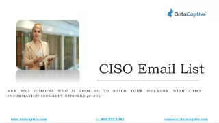 High Quality CISO Email List