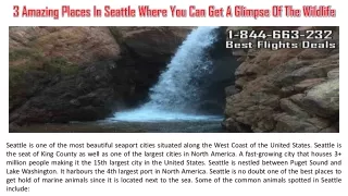 3 amazing places in seattle where