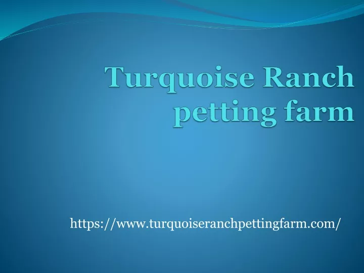 turquoise ranch petting farm