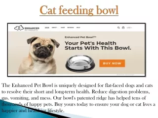cat feeding bowl