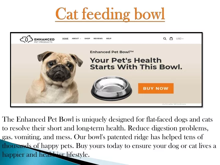 cat feeding bowl