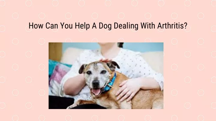 how can you help a dog dealing with arthritis