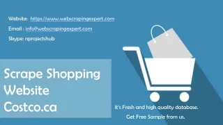 website https www webscrapingexpert com email