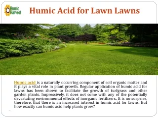Humic Acid for Lawns - Humic Harvest-