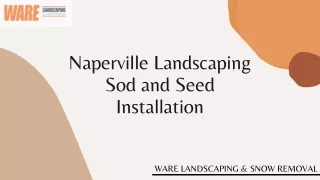 Naperville Landscaping Sod and Seed Installation