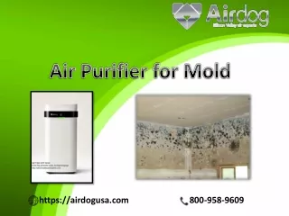 The best air purifier for mold eliminates Germs and Mold from your home - Airdog