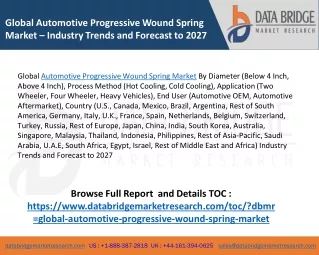 global automotive progressive wound spring market