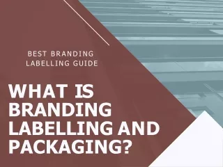 Branding, Packaging & Labeling - Business Plan In United State of America