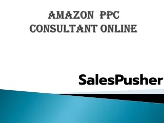 amazon ppc consultant online