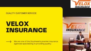 Loya Car Insurance Atlanta By Velox Insurance