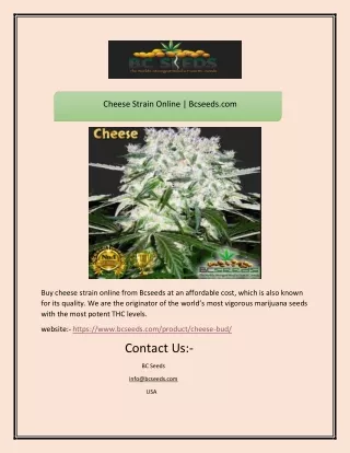 cheese strain online bcseeds com